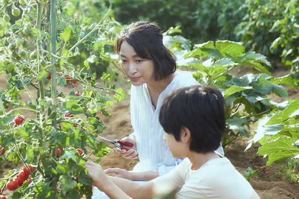 映画『かくしごと』杏／中須翔真